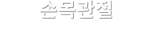 손목관절