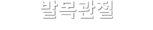 발목관절