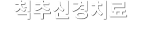 척추신경치료