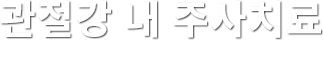 관절강 내 주사치료